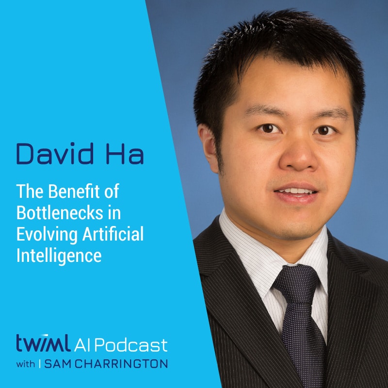 Cover Image: David Ha - Podcast Interview