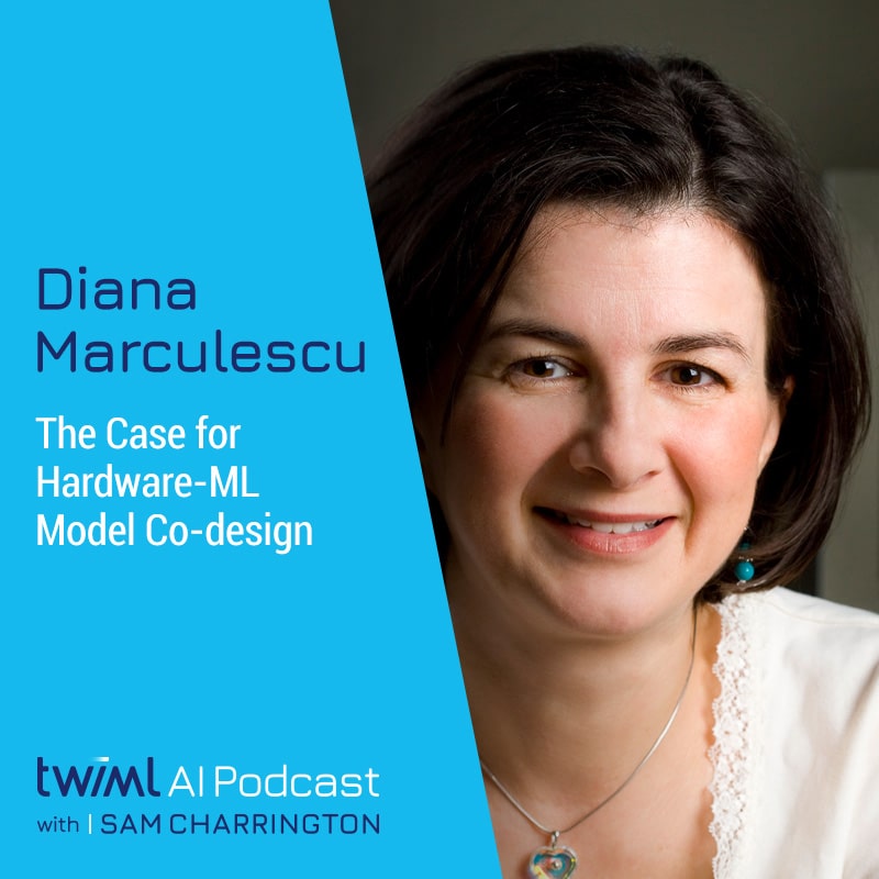 Cover Image: Diana Marculescu - Podcast Interview