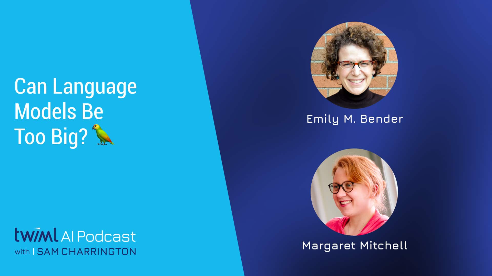 Banner Image: Emily M. Bender, Margaret Mitchell - Podcast Interview