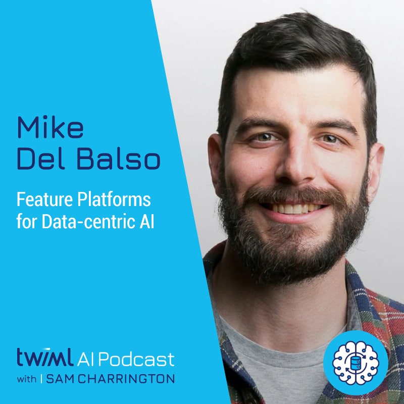 Cover Image: Mike Del Balso - Podcast Interview